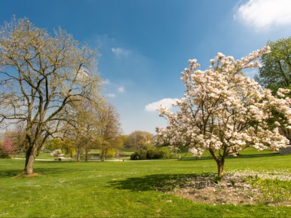 Foto: Stadt Bielefeld, Nordrhein-Westfalen