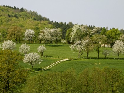 Foto: Stadt Hagen, Nordrhein-Westfalen