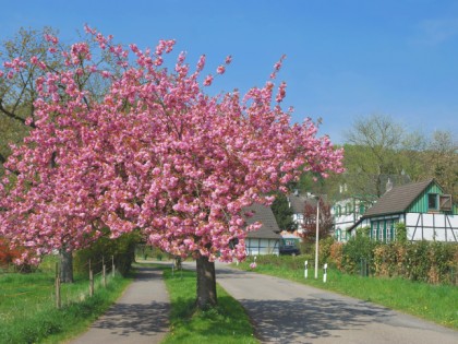 Foto: Stadt Solingen, Nordrhein-Westfalen