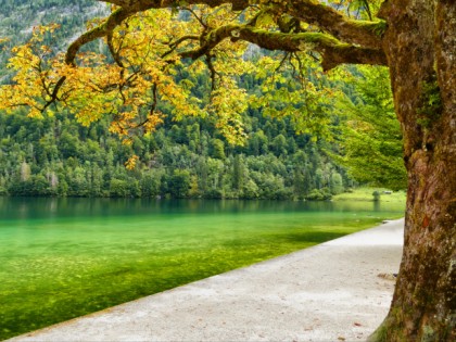 Foto: Stadt Schönau am Königssee a. Königssee, Bayern