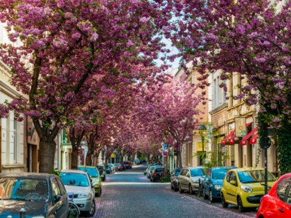 Foto: Stadt Bonn, Nordrhein-Westfalen