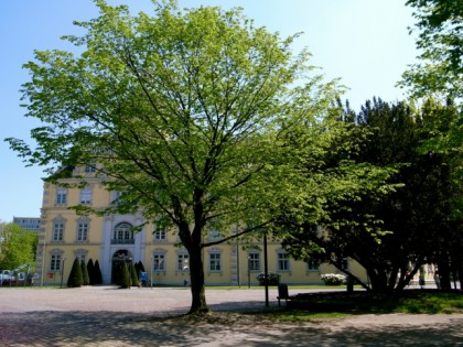 Foto: museen und ausstellungen, schlösser, burgen und paläste, Oldenburger Schloss, Niedersachsen