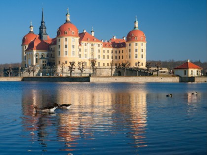 Foto: schlösser, burgen und paläste, andere plätze, Schloss Moritzburg, Sachsen