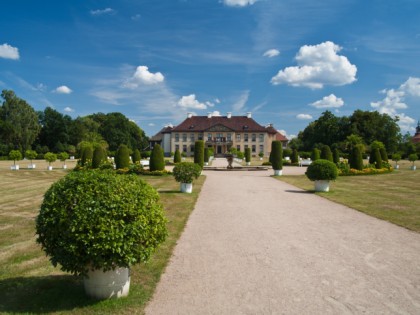 Foto: museen und ausstellungen, schlösser, burgen und paläste, Schloss Oranienbaum, Sachsen-Anhalt