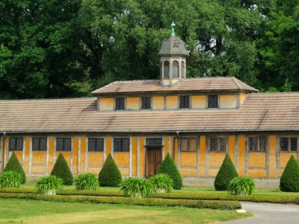 Foto: museen und ausstellungen, schlösser, burgen und paläste, Schloss Oranienbaum, Sachsen-Anhalt