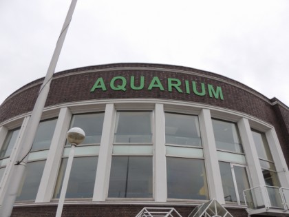 Foto: museen und ausstellungen, Aquarium Wilhelmshaven, Niedersachsen
