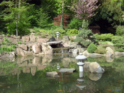 Foto: parks und unterhaltungsorte, Japanischer Garten, Rheinland-Pfalz