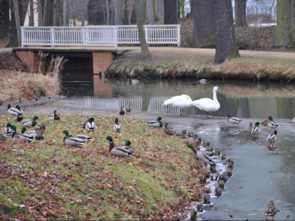 Foto: museen und ausstellungen, parks und unterhaltungsorte, Der Branitzer Park, Brandenburg