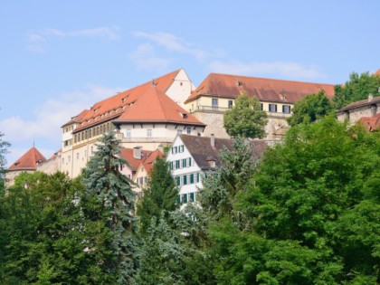 Foto: architektonische monumente, museen und ausstellungen, schlösser, burgen und paläste, Schloss Hohentübingen, Baden-Württemberg