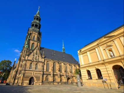 Foto: architektonische monumente, museen und ausstellungen, Zwickauer Dom & Priesterhäuser, Sachsen