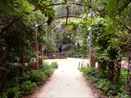 Foto: parks und unterhaltungsorte, andere plätze, Apotheker Garten, Moskau