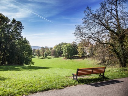 Foto: parks und unterhaltungsorte, schlösser, burgen und paläste, Schloss Ehrenburg & Hofgarten, Bayern