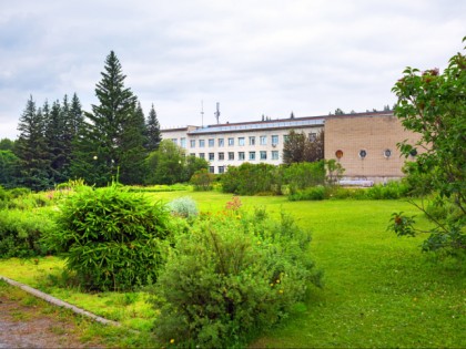 Foto: parks und unterhaltungsorte, andere plätze, Zentraler Sibirischer Botanischer Garten, Nowosibirsk