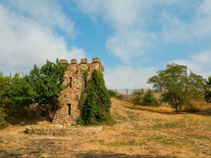 Foto: museen und ausstellungen, andere plätze, Museum-Naturschutzgebiet Tanais, Rostow am Don