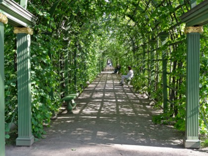 Foto: parks und unterhaltungsorte, andere plätze, Sommergarten, Sankt Petersburg