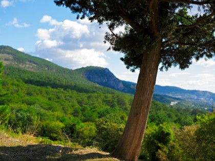 Foto: parks und unterhaltungsorte, Naturschutzgebiet von Jalta, Jalta