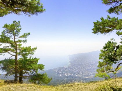 Foto: parks und unterhaltungsorte, Naturschutzgebiet von Jalta, Jalta