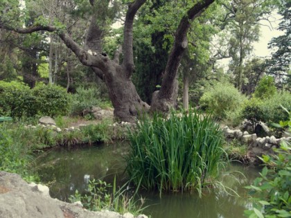 Foto: parks und unterhaltungsorte, Foros-Park, Jalta