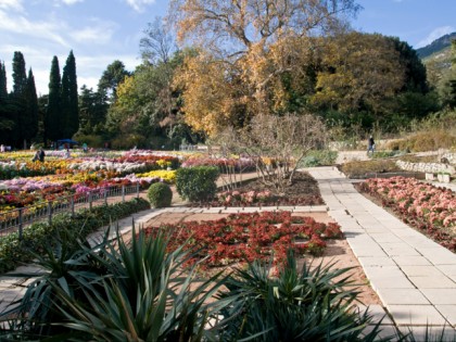 Foto: parks und unterhaltungsorte, Botanische Garten Nikita, Jalta