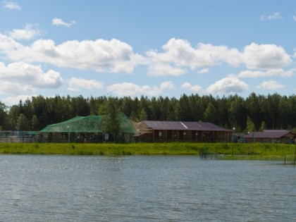 Foto: andere plätze, Jaroslawler Zoo, Jaroslawl