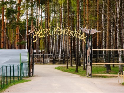 Foto: andere plätze, Jaroslawler Zoo, Jaroslawl