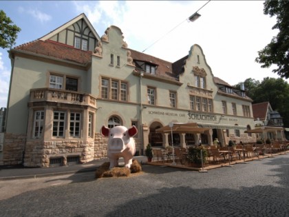 Foto: museen und ausstellungen, SchweineMuseum, Baden-Württemberg