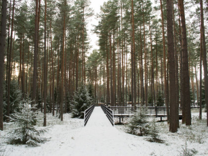 Foto: museen und ausstellungen, Gedenkstätte Katyn, Smolensk