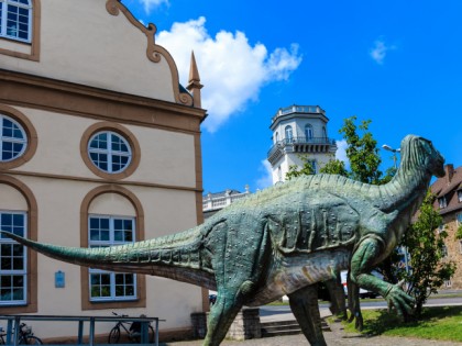 Foto: museen und ausstellungen, Ottoneum, Hessen