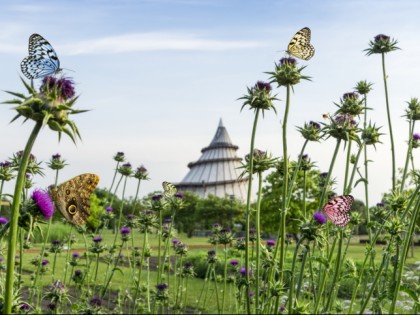 Foto: museen und ausstellungen, Jahrtausendturm, Sachsen-Anhalt