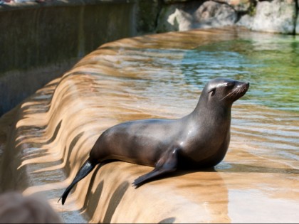 Foto: parks und unterhaltungsorte, Zoologischer Garten / Tierpark Berlin-Friedrichsfelde, Berlin