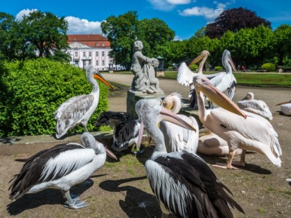 Foto: parks und unterhaltungsorte, Zoologischer Garten / Tierpark Berlin-Friedrichsfelde, Berlin