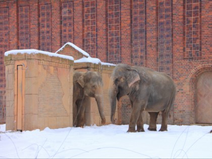 Foto: parks und unterhaltungsorte, Leipzig Zoo, Sachsen