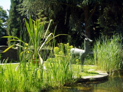 Foto: parks und unterhaltungsorte, Botanischer Garten Gießen, Hessen