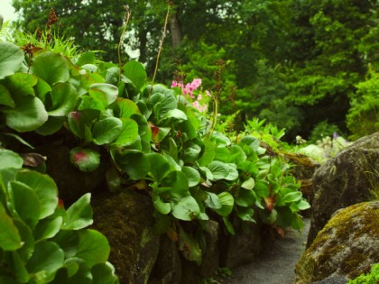 Foto: parks und unterhaltungsorte, Botanischer Garten Gießen, Hessen