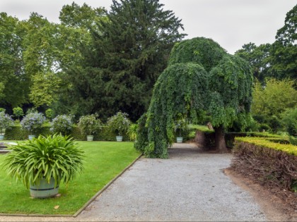 Foto: parks und unterhaltungsorte, Neuer Garten, Brandenburg