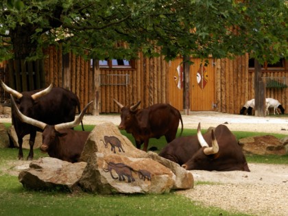 Foto: parks und unterhaltungsorte, Tiergarten Straubing, Bayern