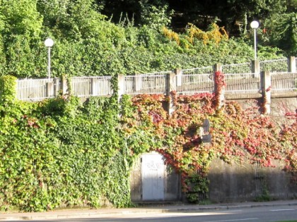 Foto: andere plätze, Schlossberg, Baden-Württemberg