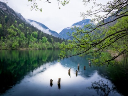Foto: andere plätze, Thumsee, Bayern