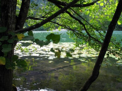 Foto: andere plätze, Thumsee, Bayern