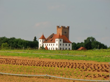 Foto: schlösser, burgen und paläste, Schloss Reisensburg, Bayern