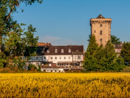 Foto: museen und ausstellungen, schlösser, burgen und paläste, Burg Friedestrom, Zollfeste Zons, Nordrhein-Westfalen