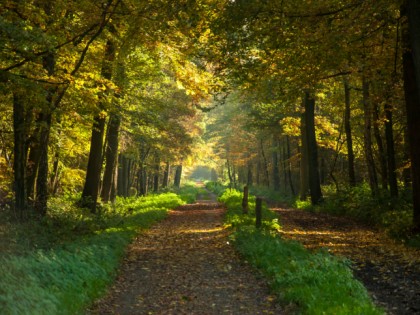 Foto: parks und unterhaltungsorte, andere plätze, Hülser Berg, Nordrhein-Westfalen