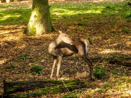 Foto: parks und unterhaltungsorte, andere plätze, Hülser Berg, Nordrhein-Westfalen