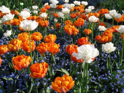 Foto: parks und unterhaltungsorte, Botanischer Garten Krefeld, Nordrhein-Westfalen