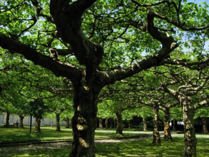 Foto: parks und unterhaltungsorte, Botanischer Garten Krefeld, Nordrhein-Westfalen