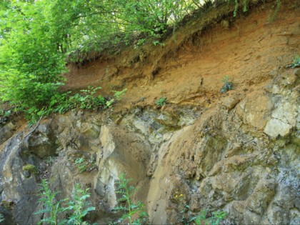 Foto: parks und unterhaltungsorte, Geologischer Garten, Nordrhein-Westfalen