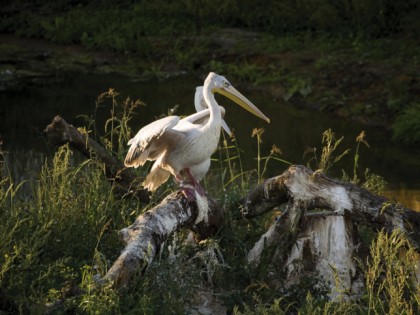 Foto: parks und unterhaltungsorte, ZOOM Erlebniswelt, Nordrhein-Westfalen