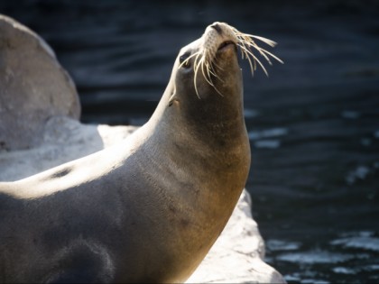 Foto: parks und unterhaltungsorte, ZOOM Erlebniswelt, Nordrhein-Westfalen