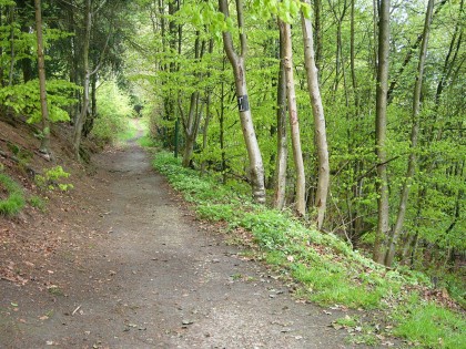 Foto: parks und unterhaltungsorte, Philosophenweg, Baden-Württemberg