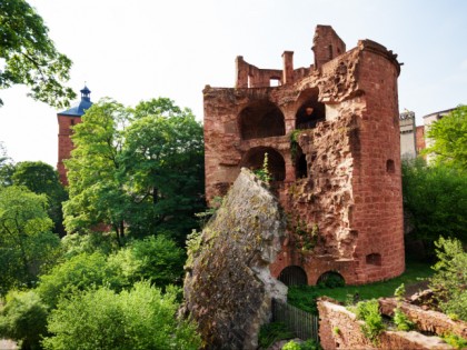 Foto: museen und ausstellungen, parks und unterhaltungsorte, schlösser, burgen und paläste, Schloss Heidelberg, Baden-Württemberg